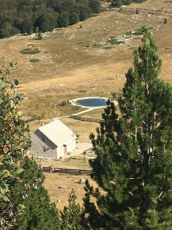 Mountain House Varda Ledenice Екстериор снимка