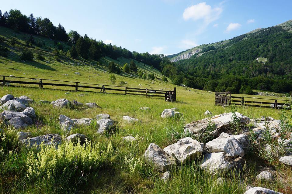 Mountain House Varda Ledenice Екстериор снимка