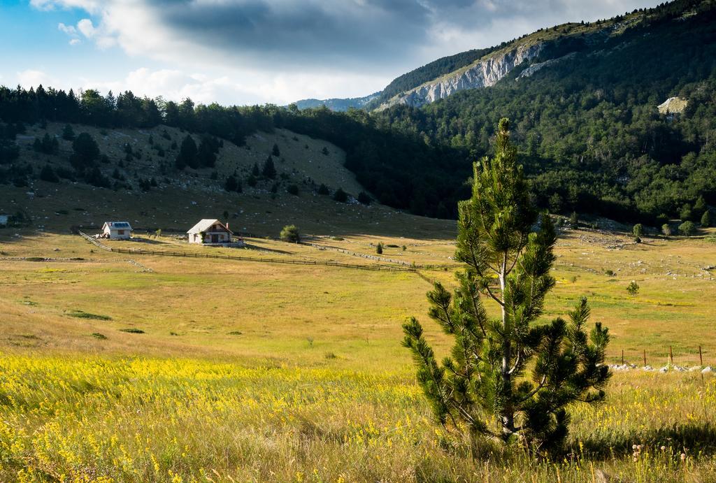 Mountain House Varda Ledenice Екстериор снимка